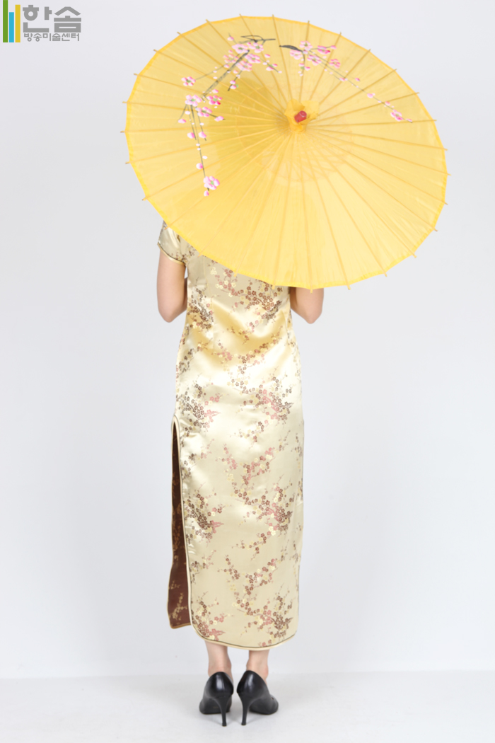 3535.중국-치파오(여)