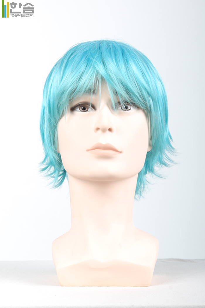 30001.가발(남여공용)