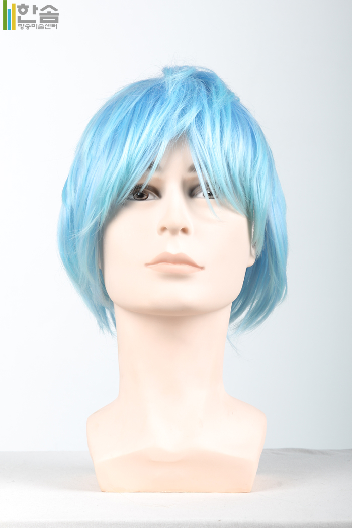 30007.가발(남여공용)