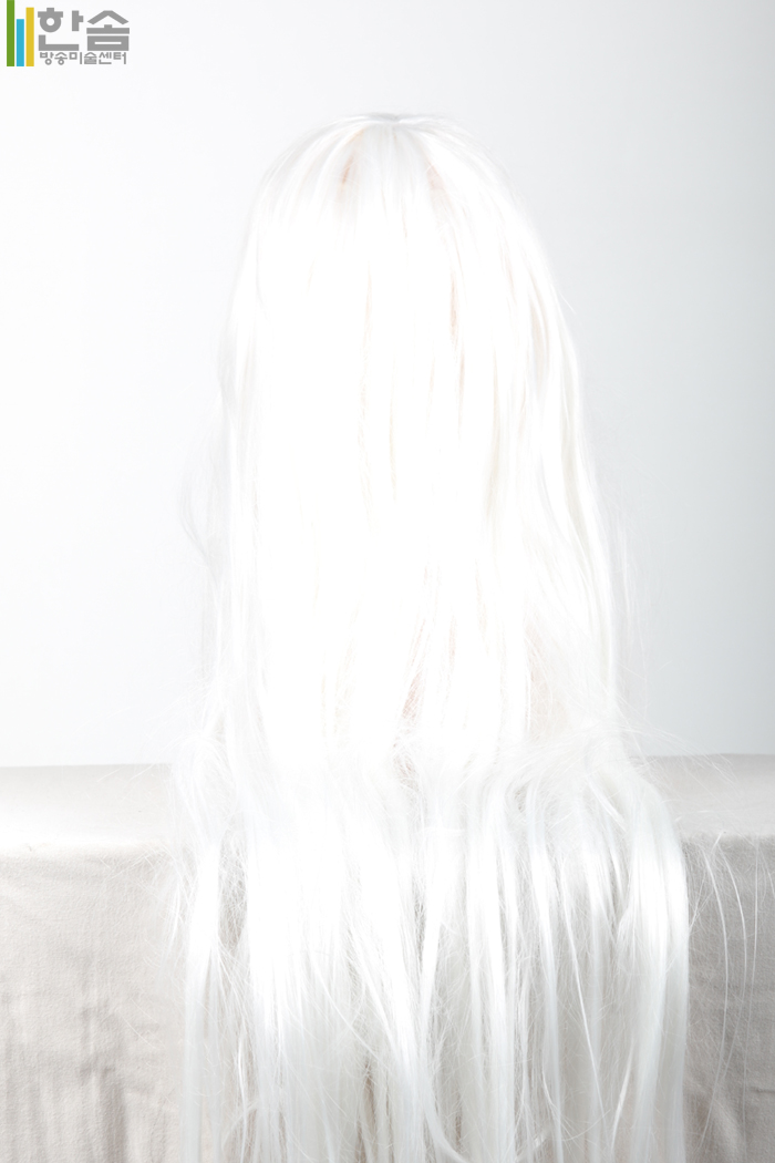 30090.가발(남녀공용)