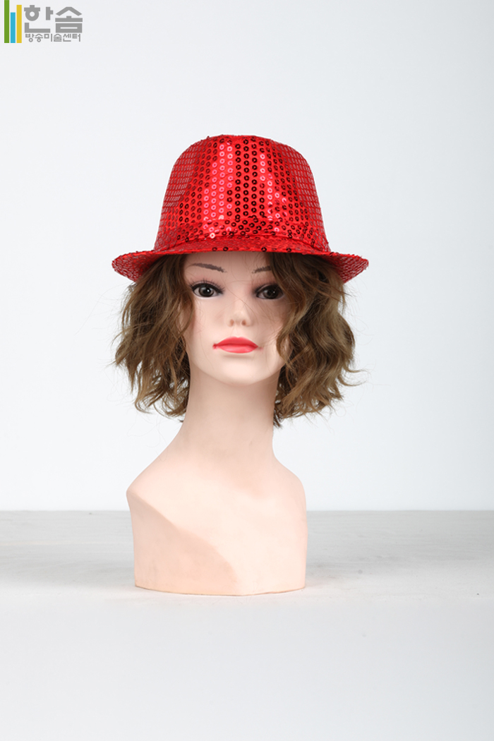 20163.반짝이모자