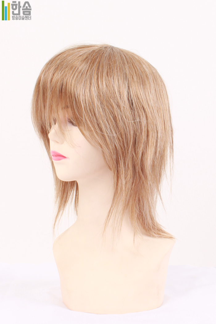 45755.가발(남녀공용)