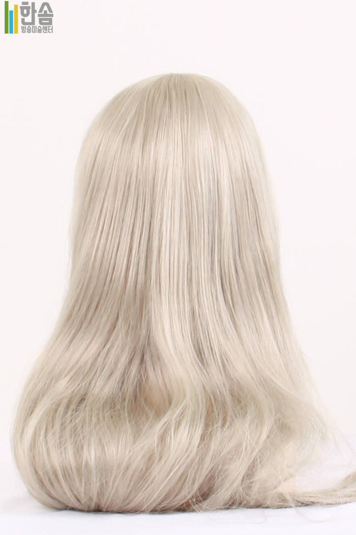 45781.가발(남녀공용)